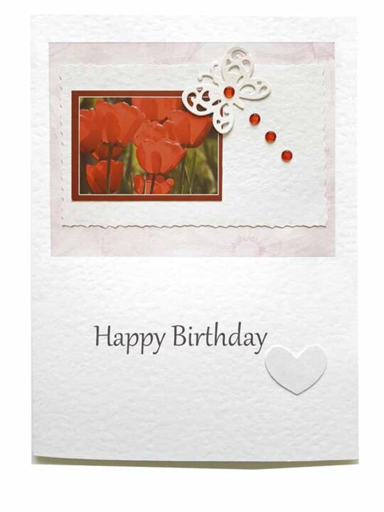 Red Tulips - Birthday card